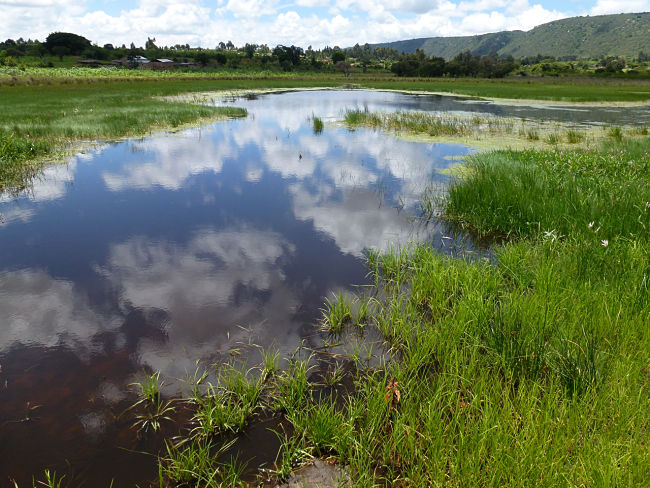 A floodplain with permanent water body